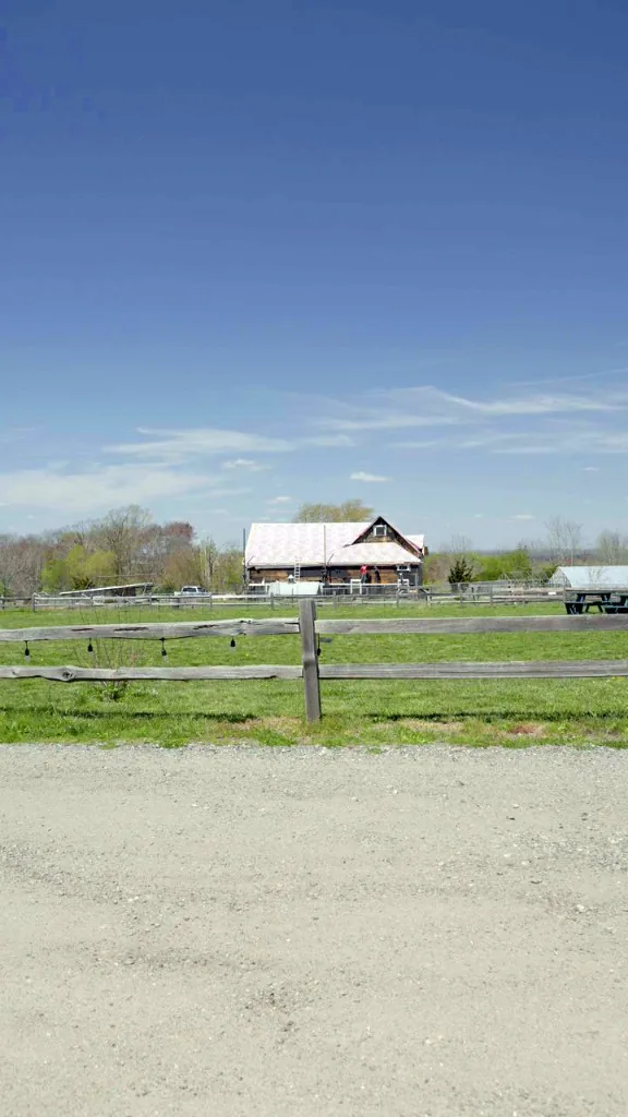 Storage barn on the Ragged Island farm with new roof underlayment visible from Bristol Ferry Road